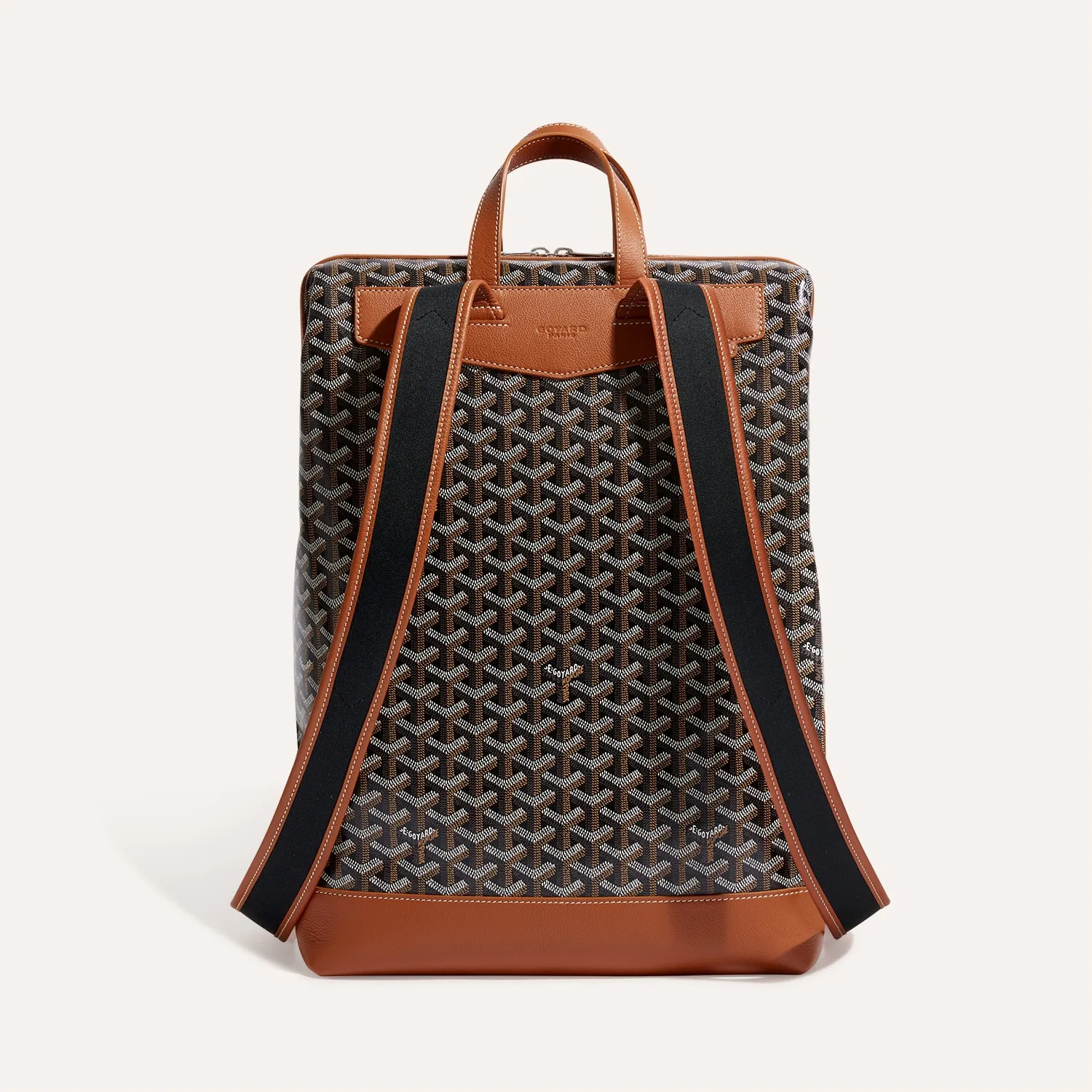 Cisalpin Backpack