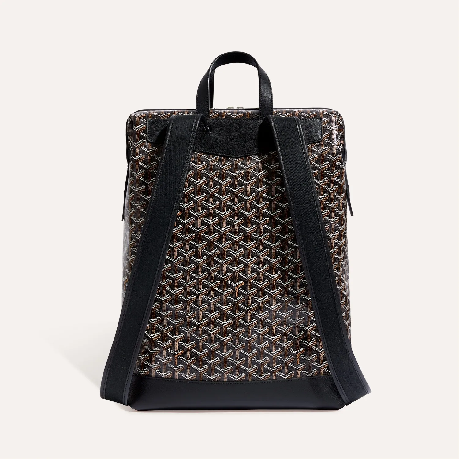 Cisalpin Backpack