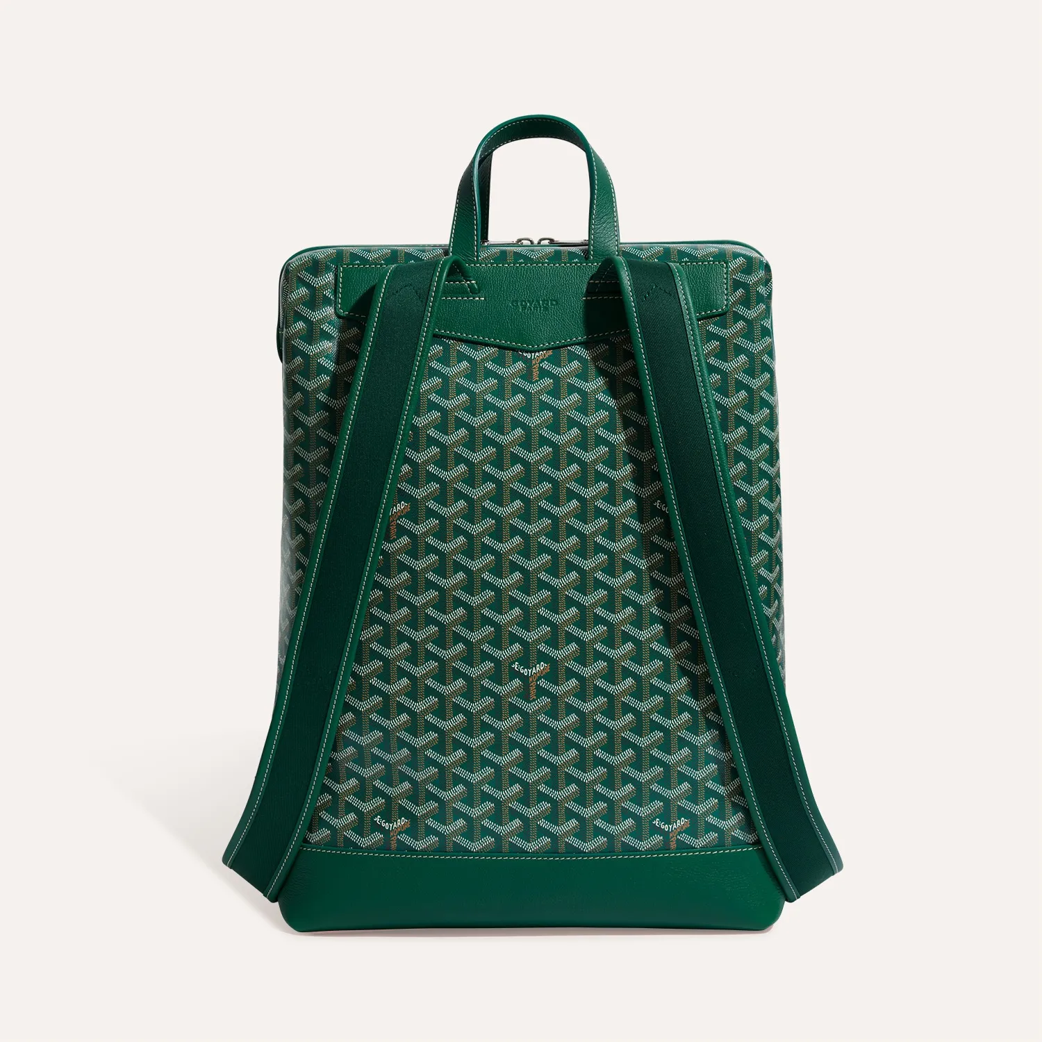 Cisalpin Backpack